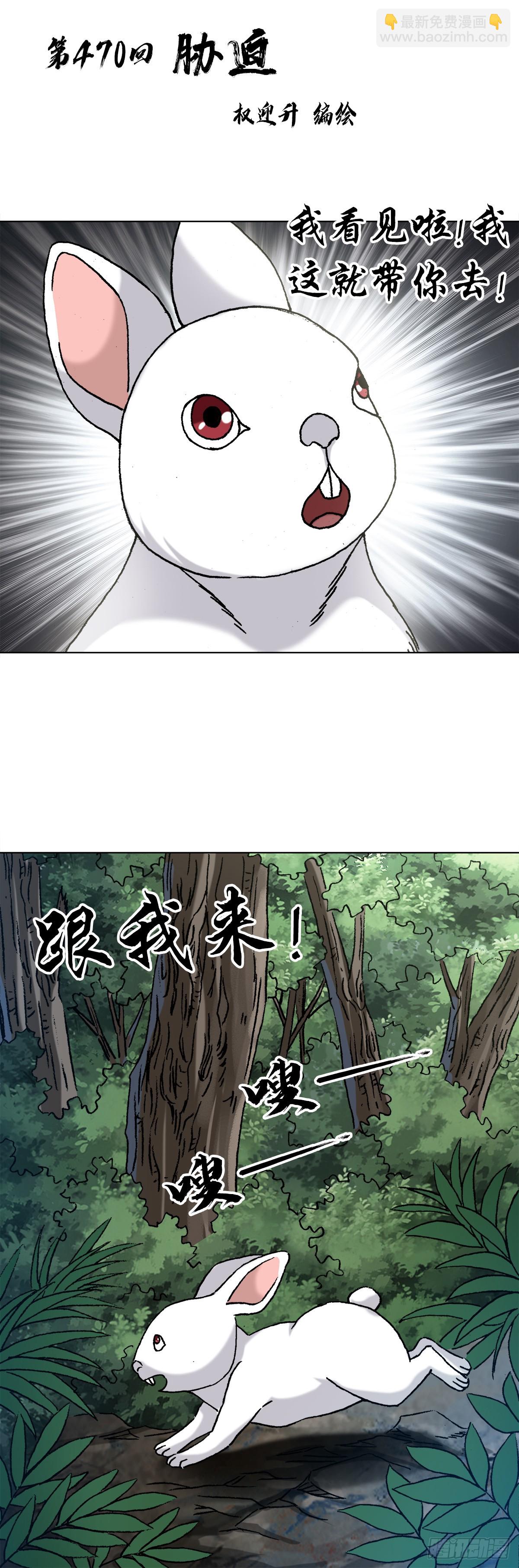 1441 小白兔白又白1