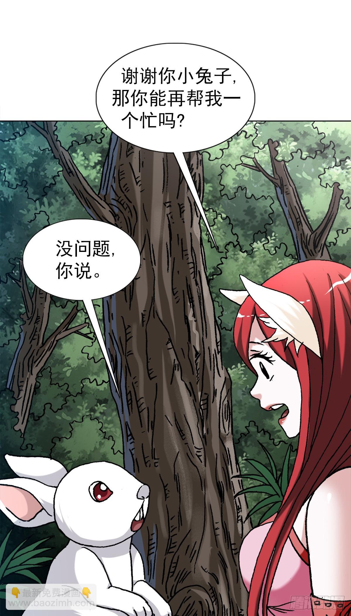 1441 小白兔白又白4