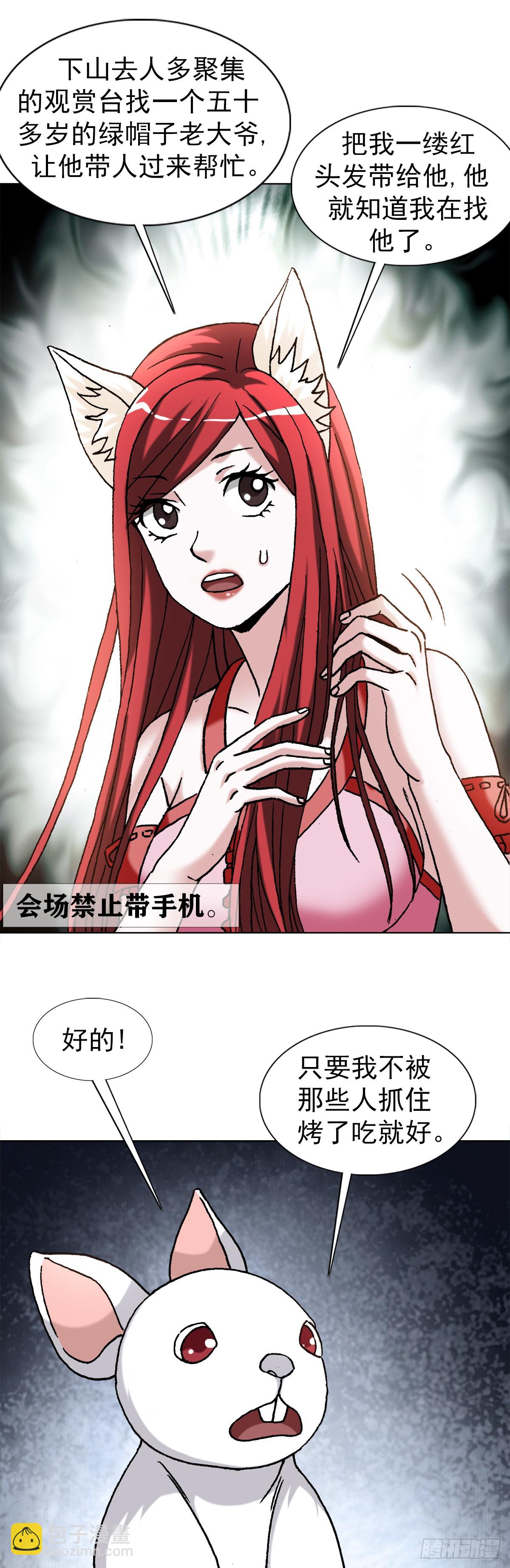 1441 小白兔白又白5