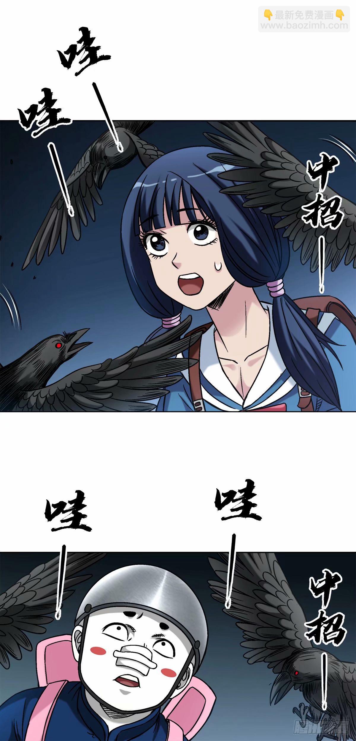 1494 乌鸦叫16