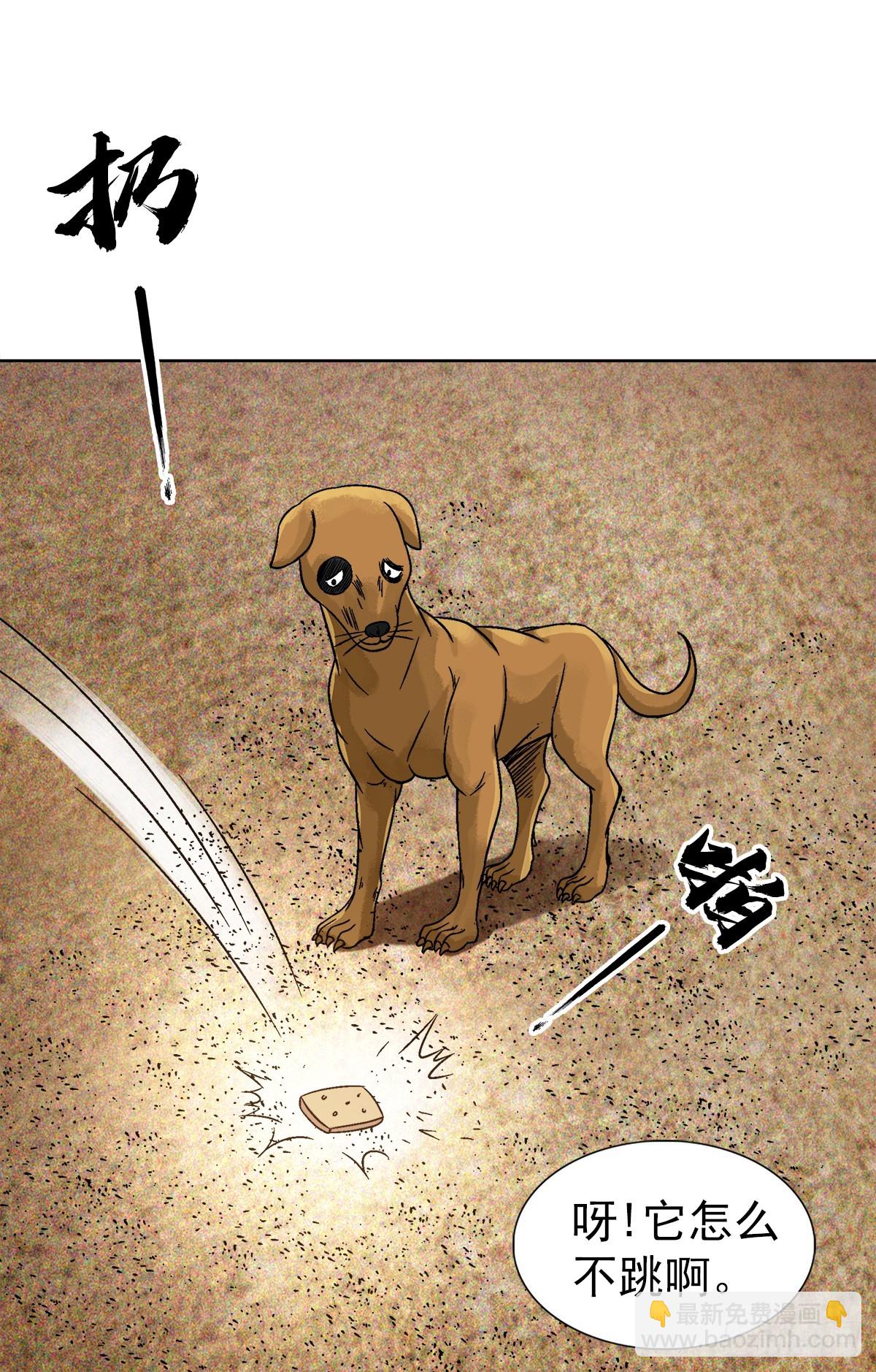 1537 土狗5