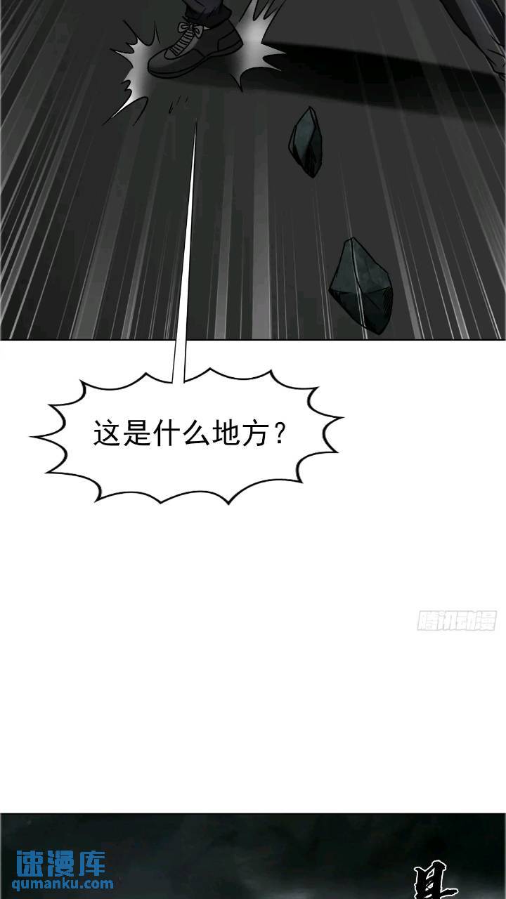 1560 四大金刚16