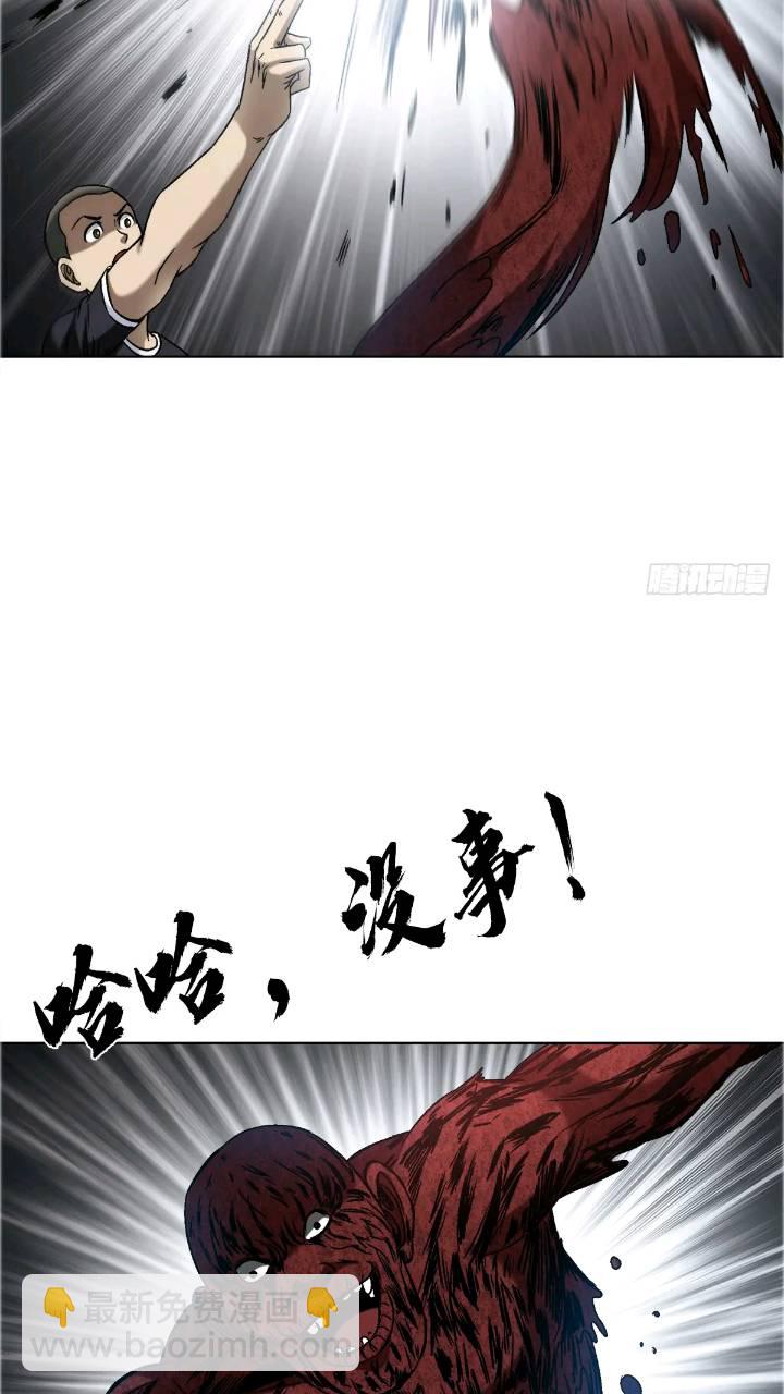 1560 四大金刚4