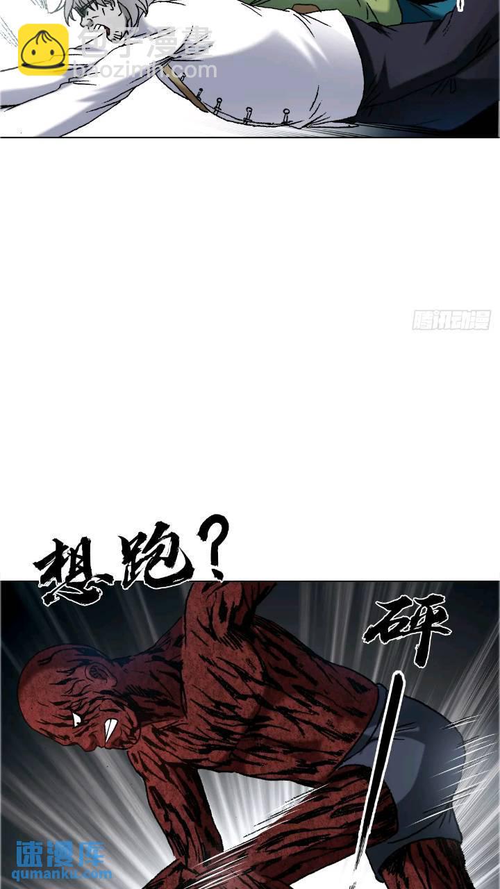1560 四大金刚74
