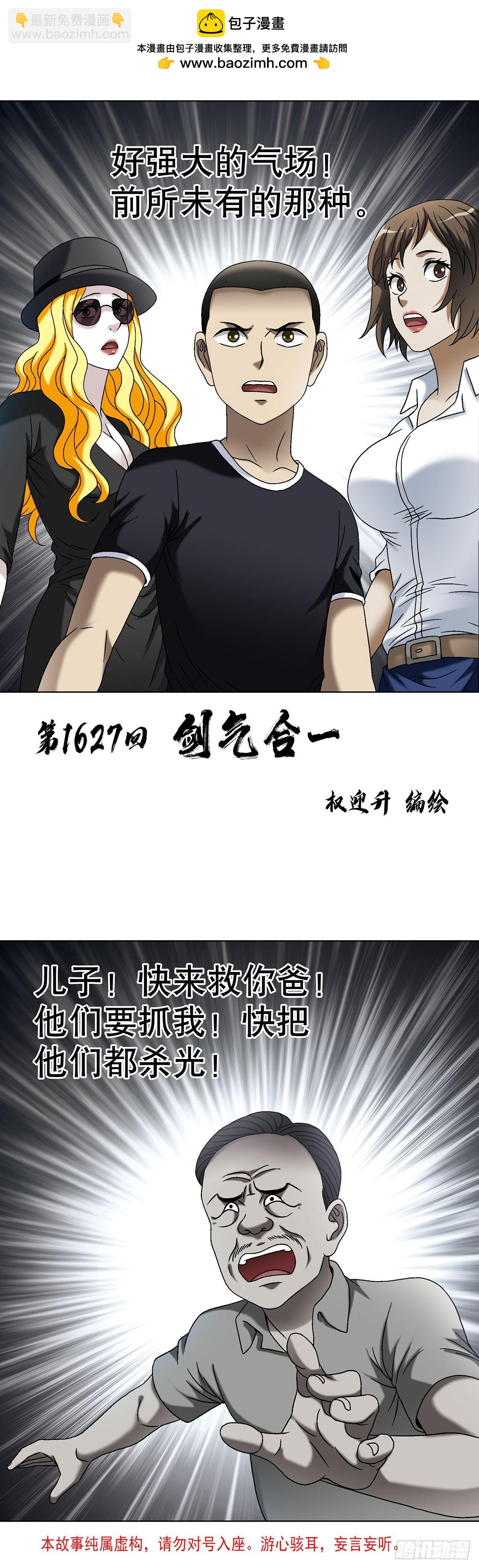1627 剑气合一1