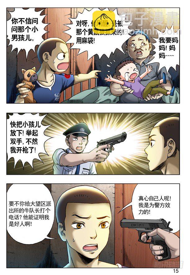 204 审训6