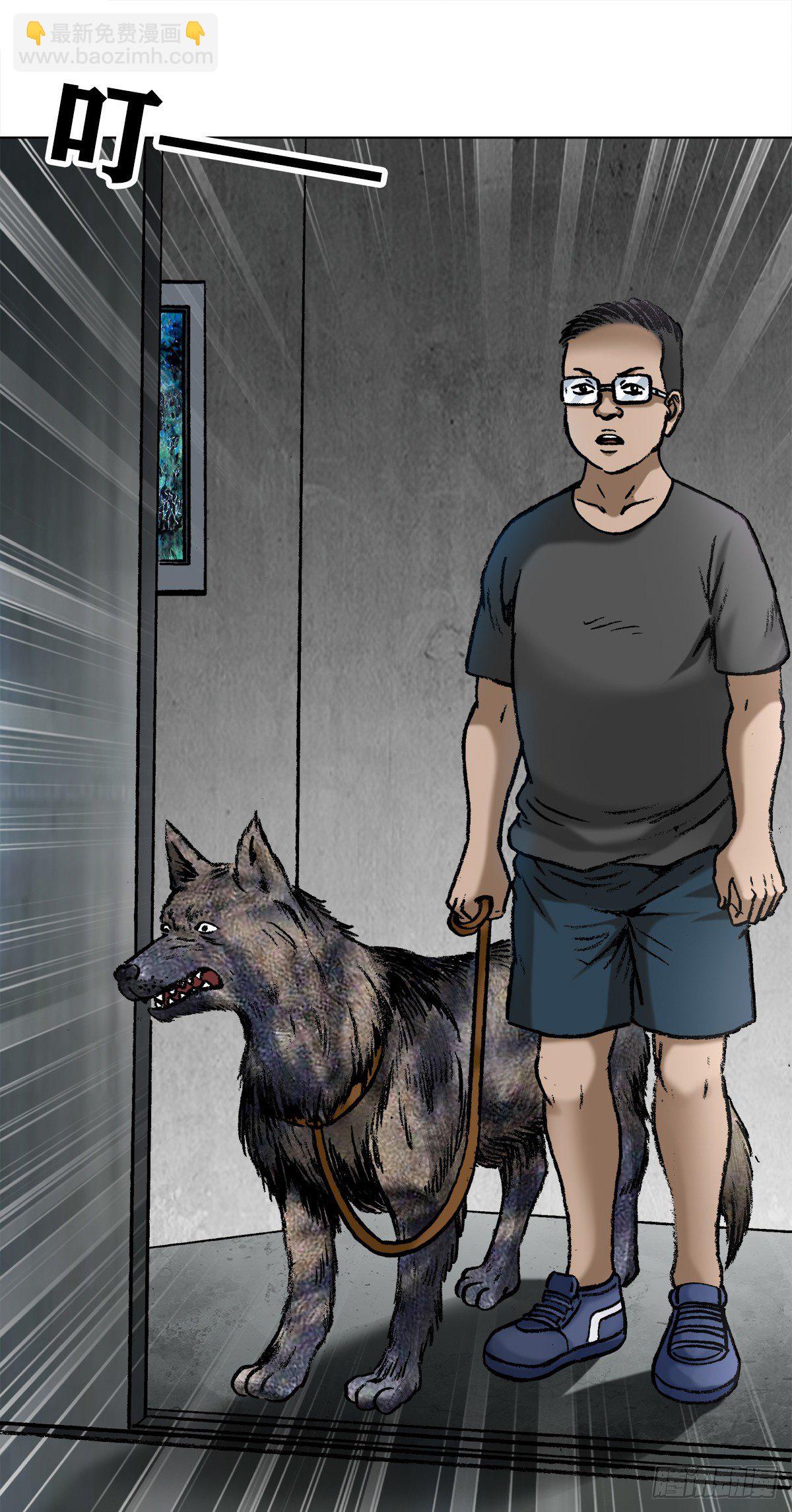 1019 猫10