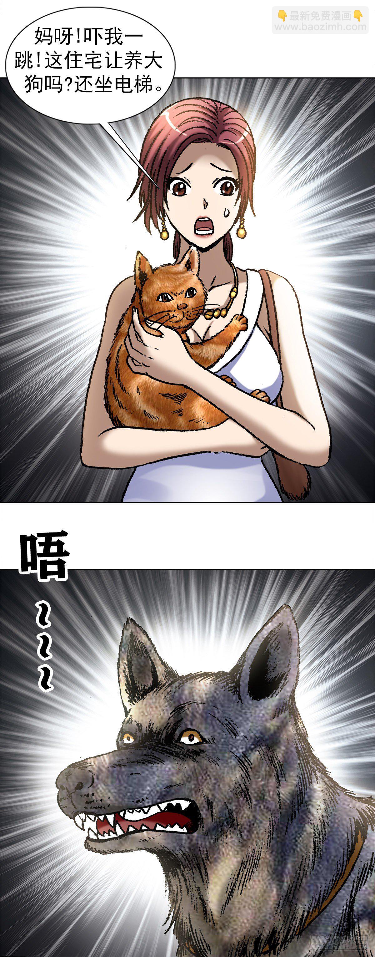 1019 猫11