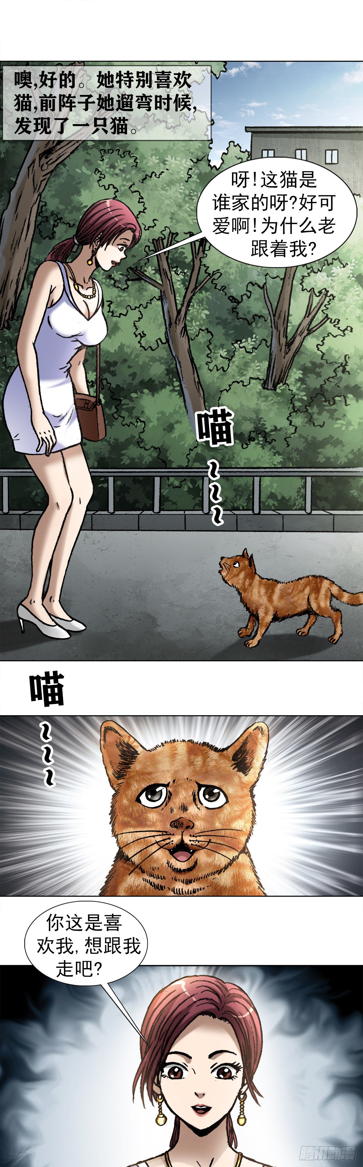 1019 猫7