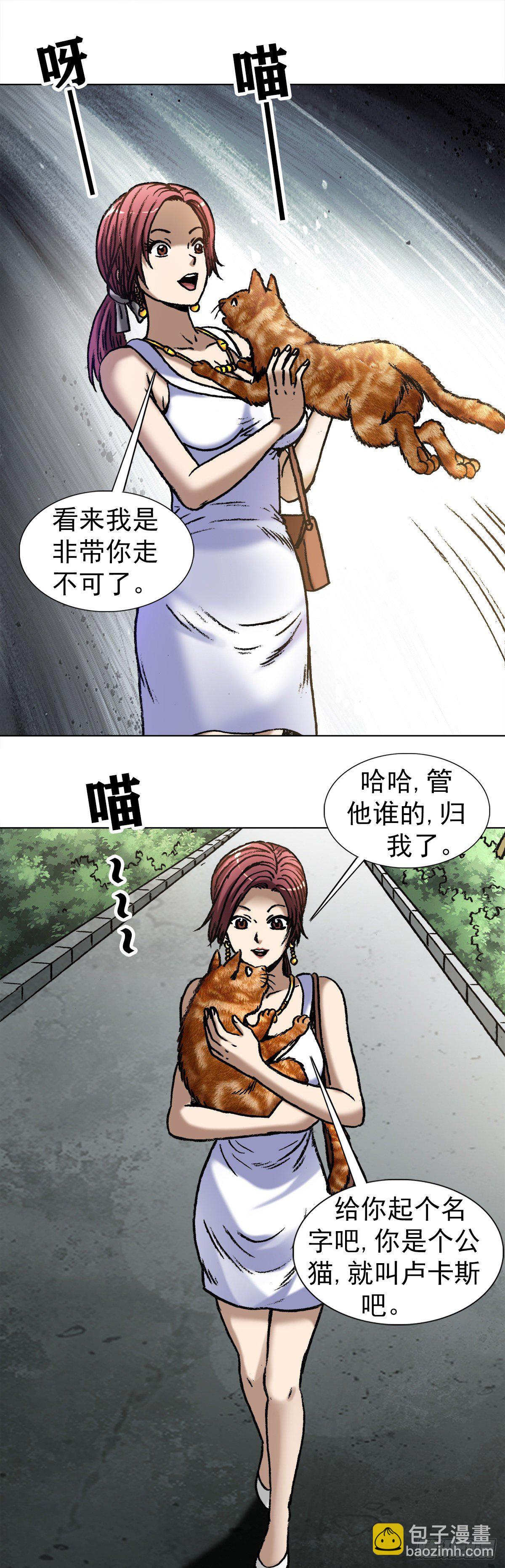 1019 猫8