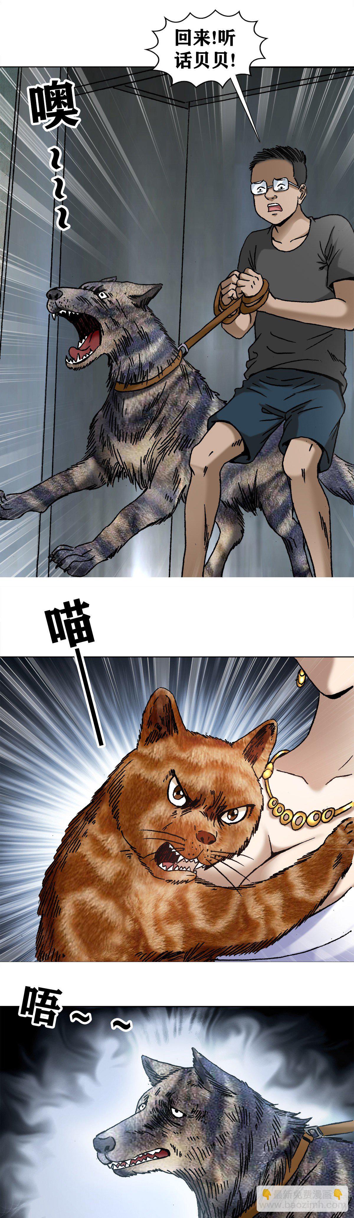 1020  小奶狗1