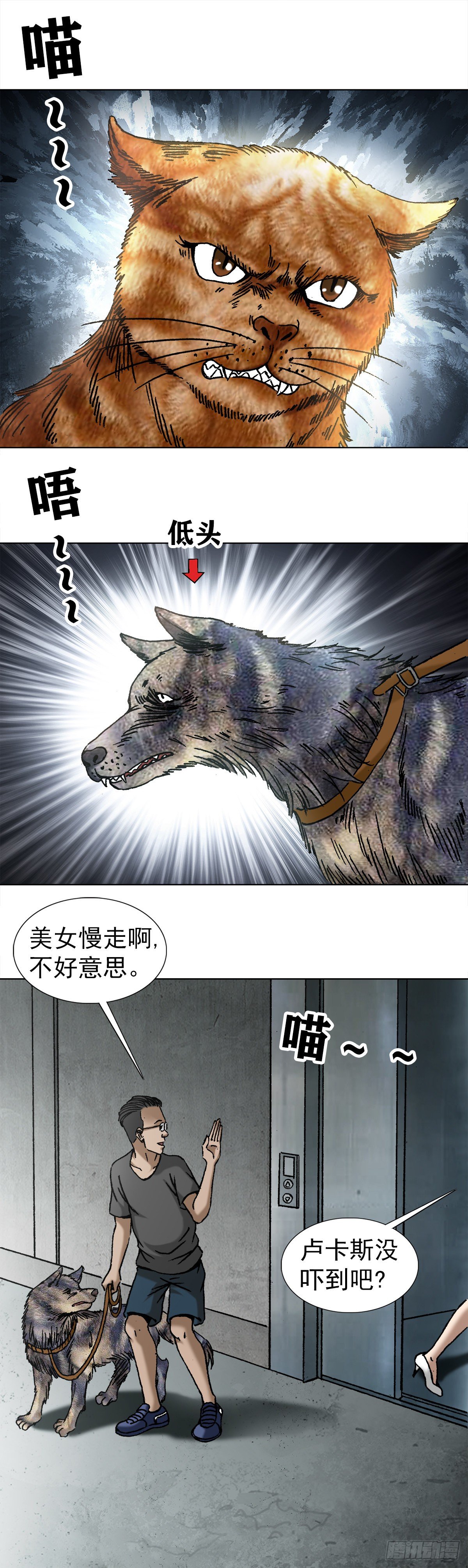 1020  小奶狗3