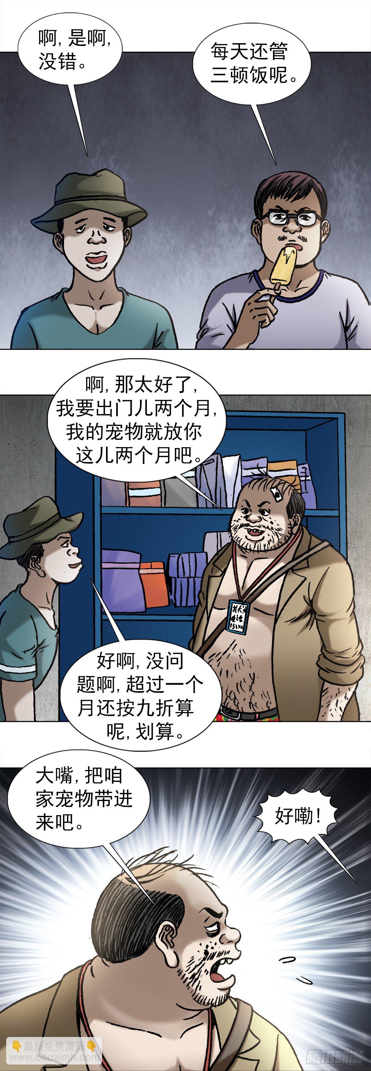 1029  宠物店12