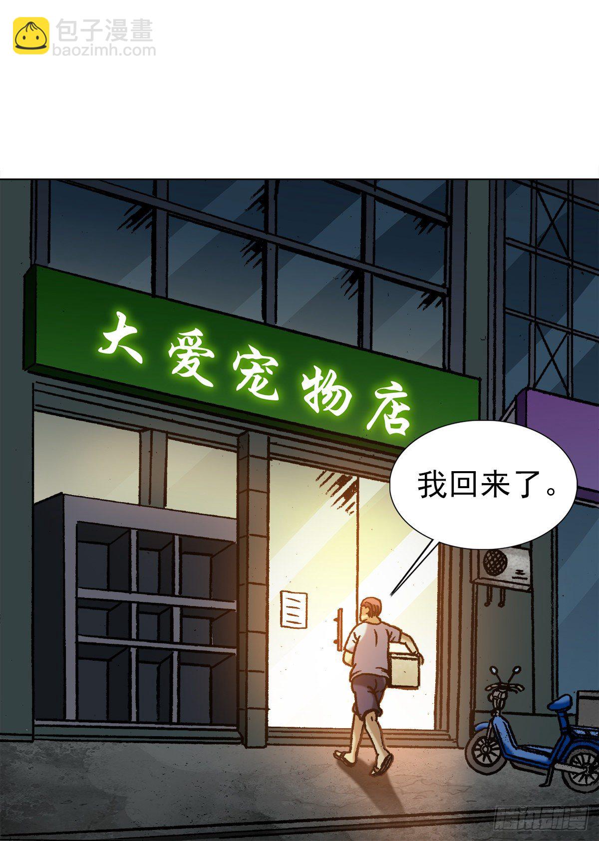 1029  宠物店8
