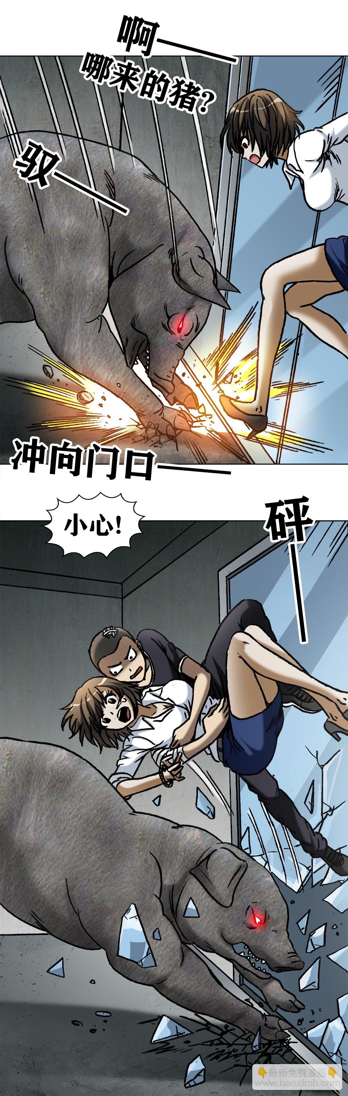 1030 大黑猪8