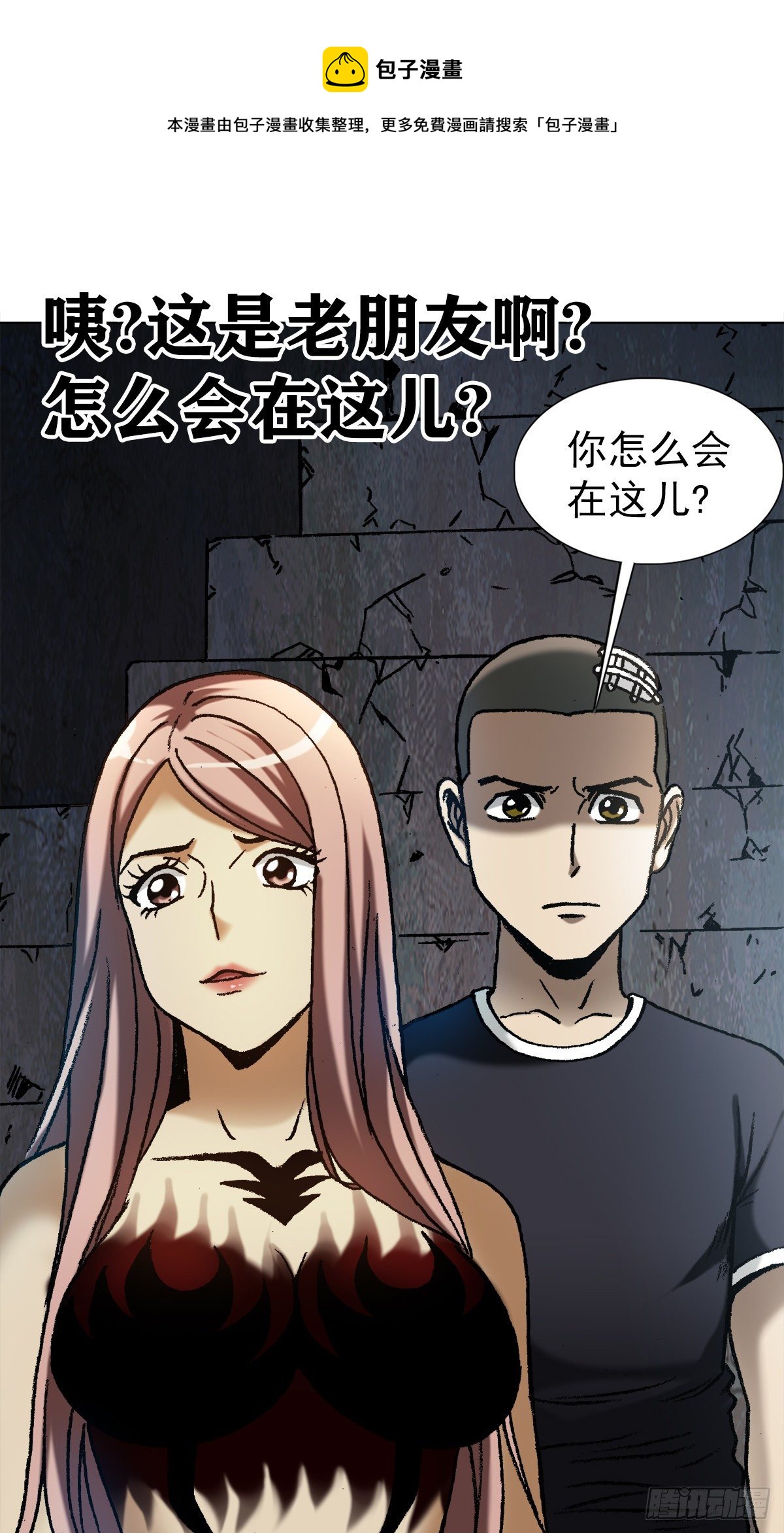 1178 双拼0