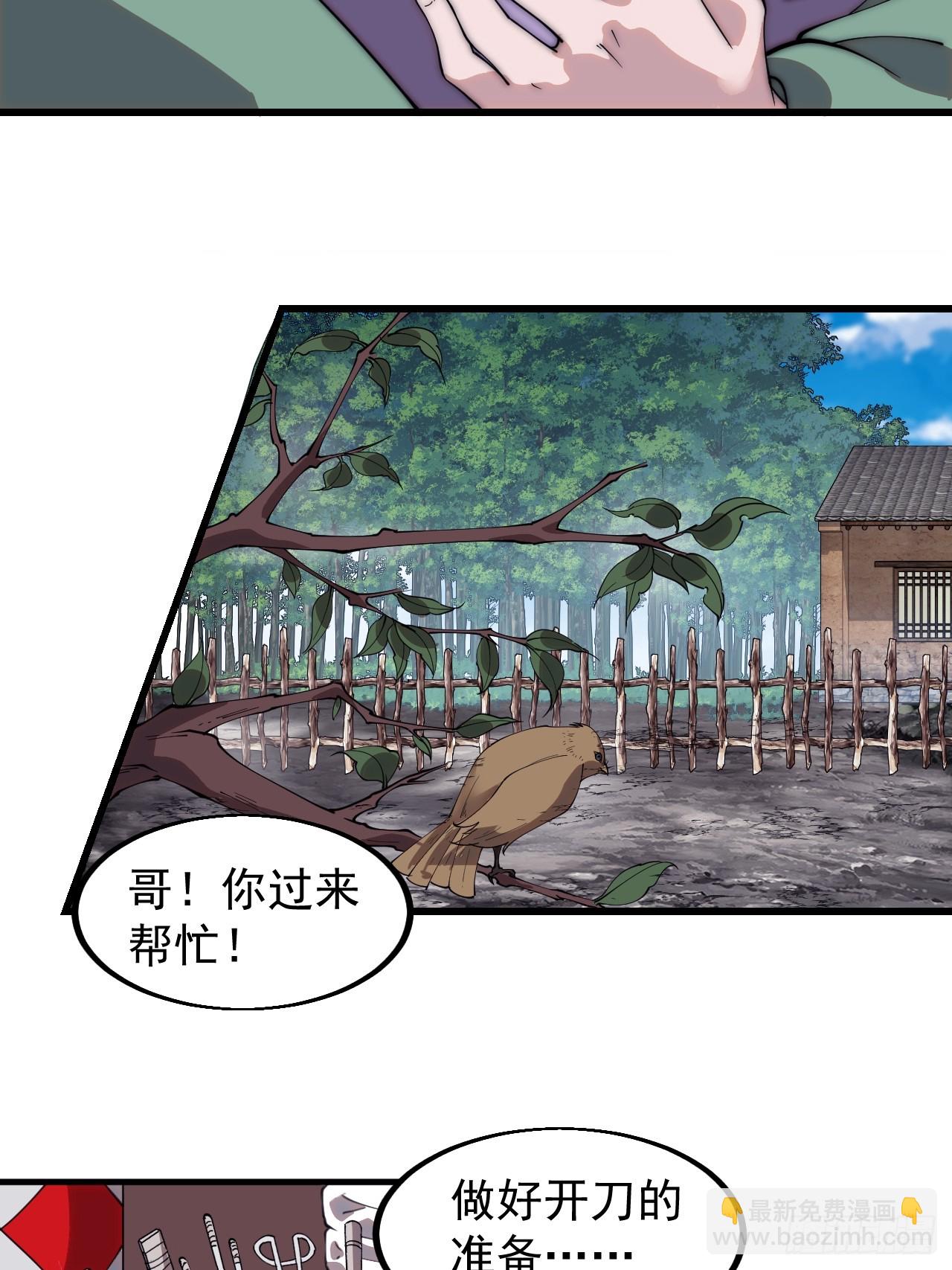 第五百三十七话：开刀22