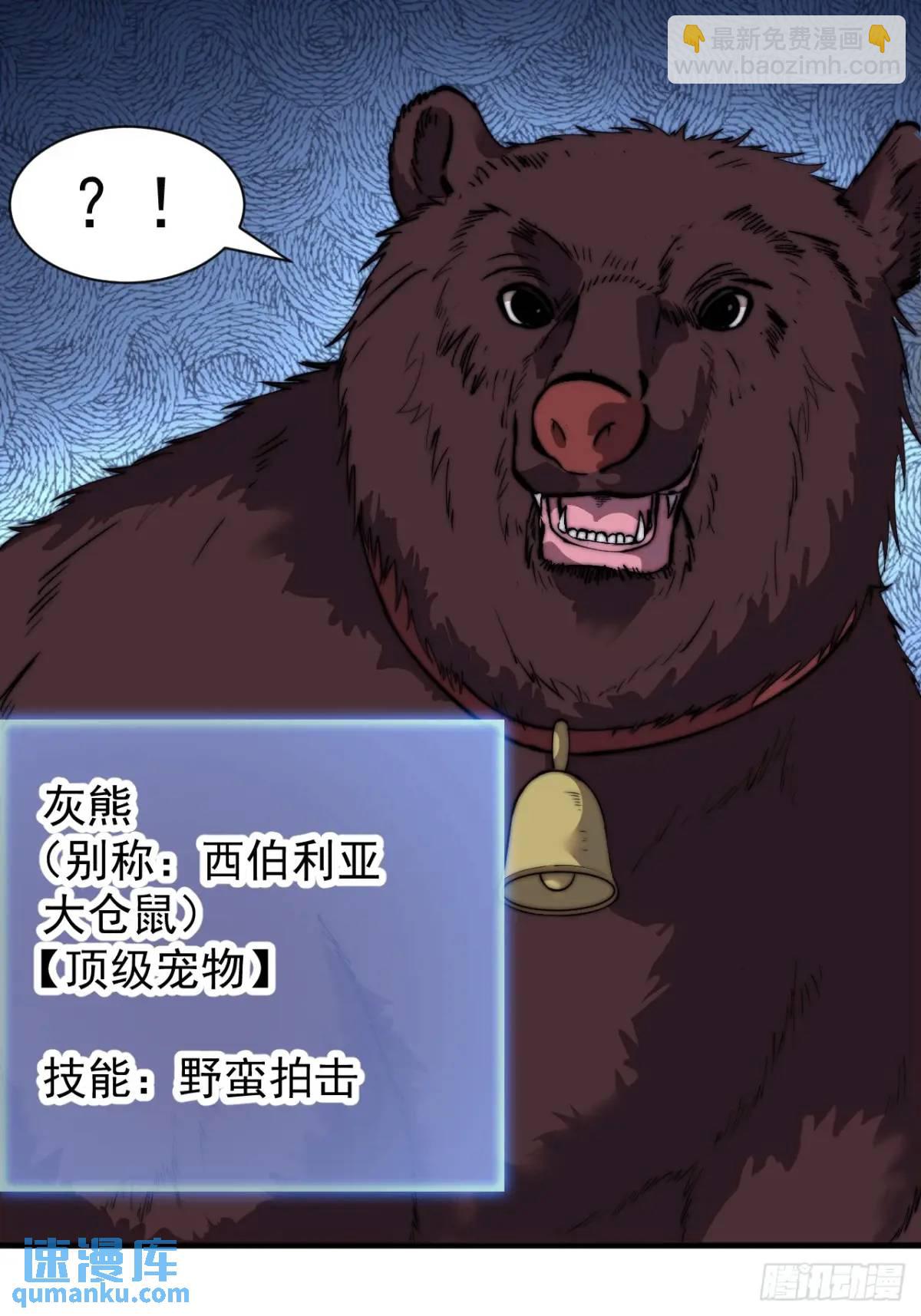 第七百话：西伯利亚大仓鼠42