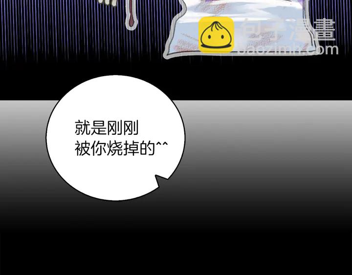 第126话 陨石雨53