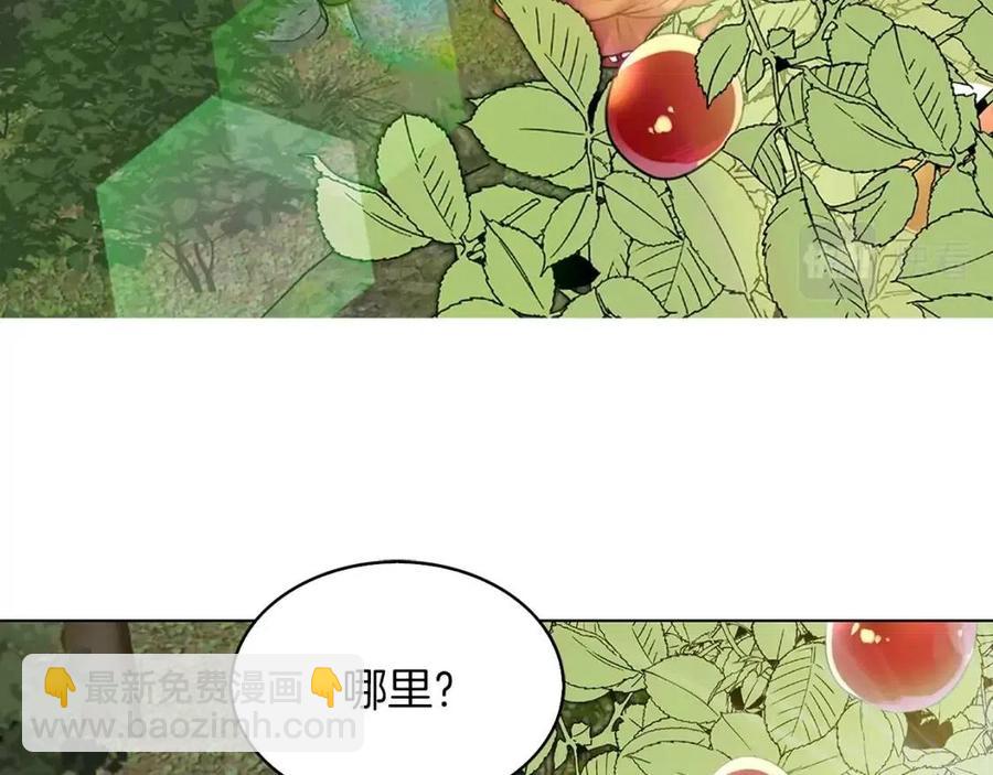 番外9 贾尼斯的老套路384