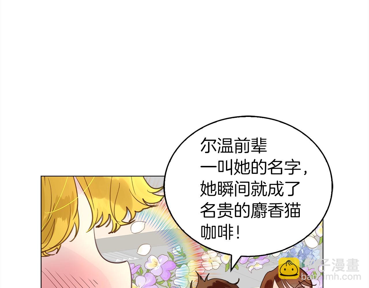 番外37 网络小说之花788