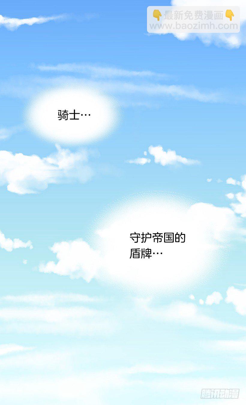 帝国的盾牌14