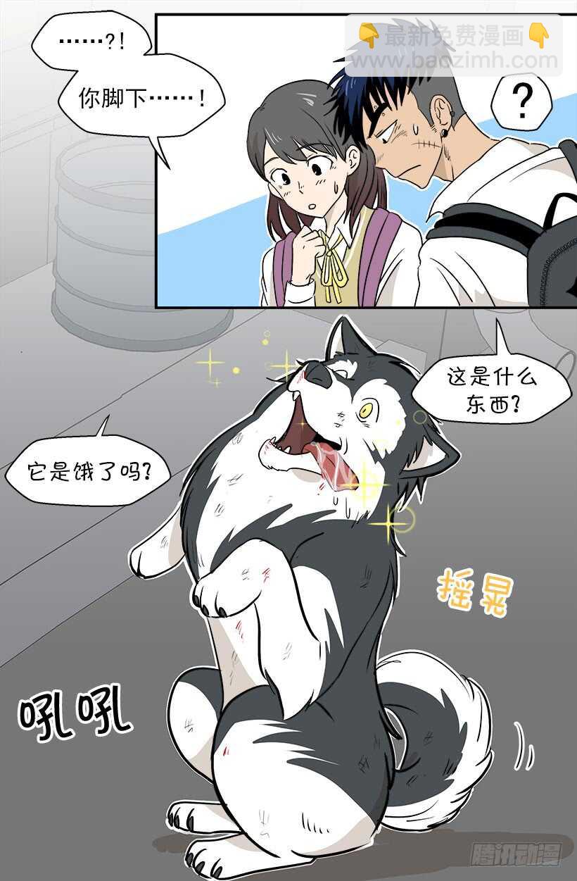 贵重的礼物2