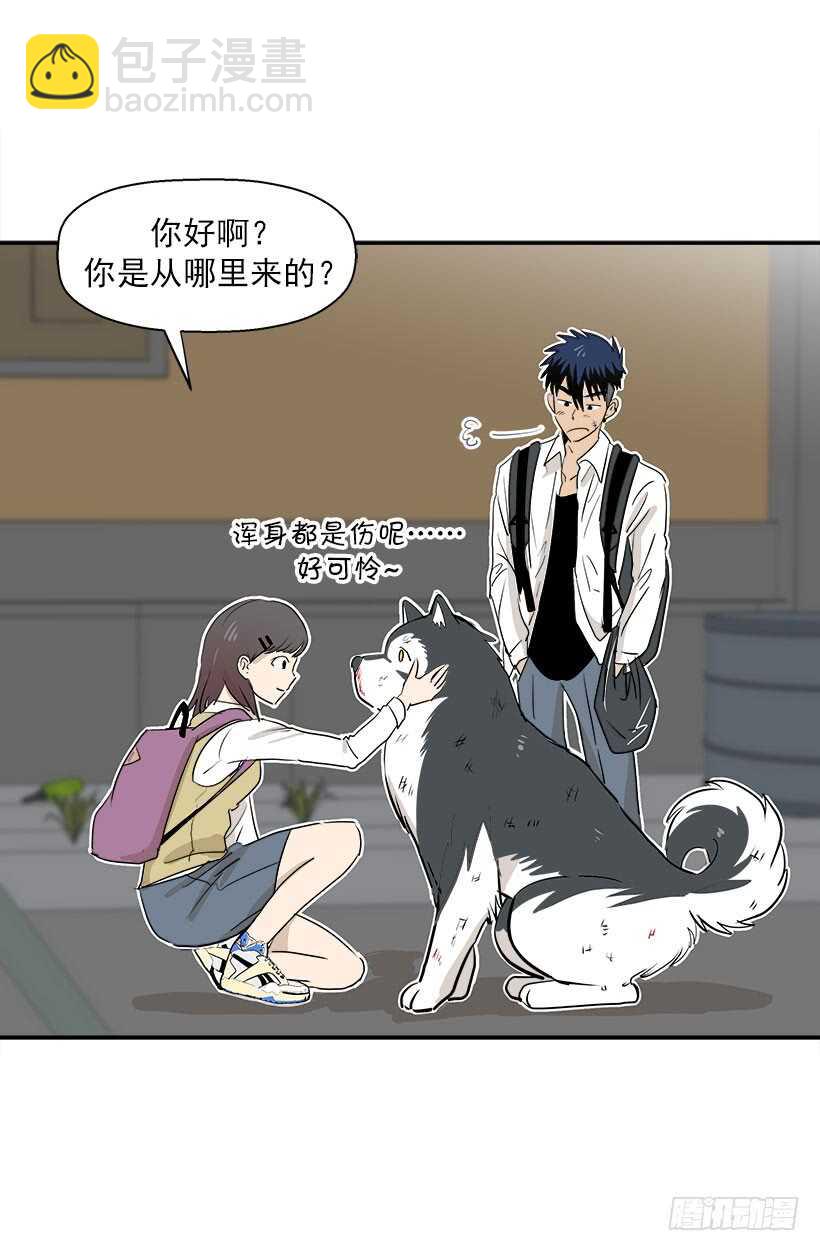 贵重的礼物3