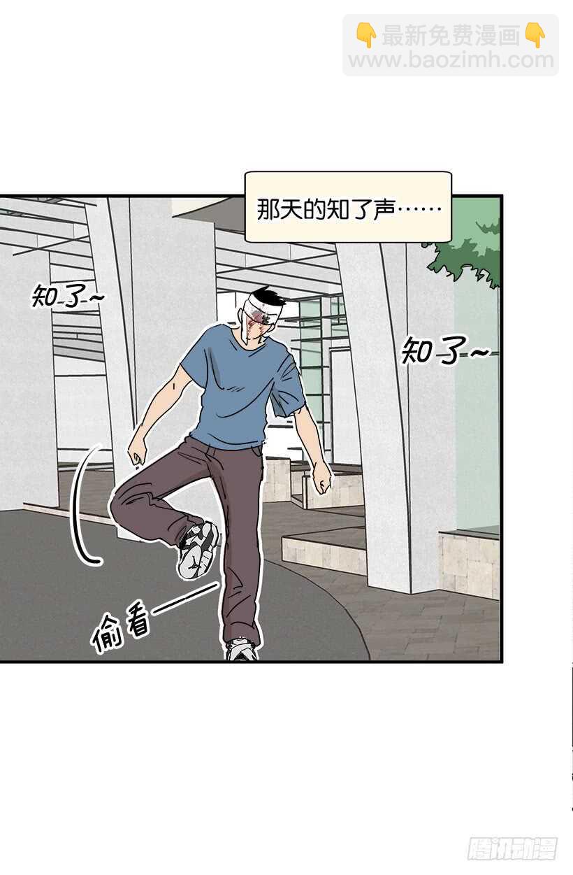 最年轻的骑士13