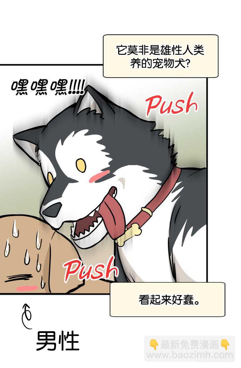 她们想当皇妃3
