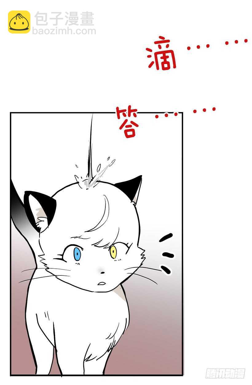 她们想当皇妃8