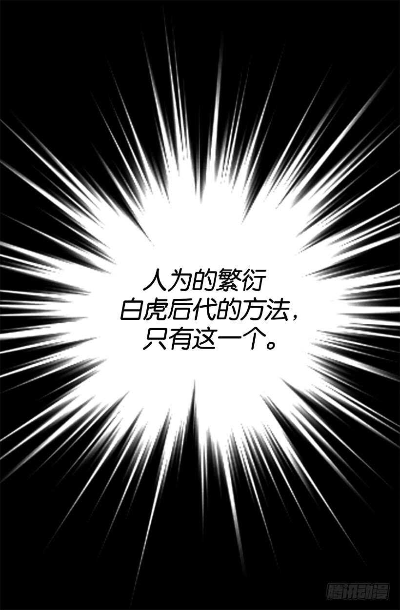 眼力见不错15
