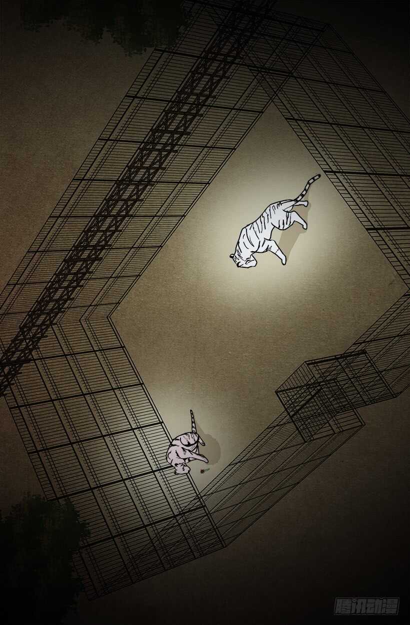 眼力见不错8