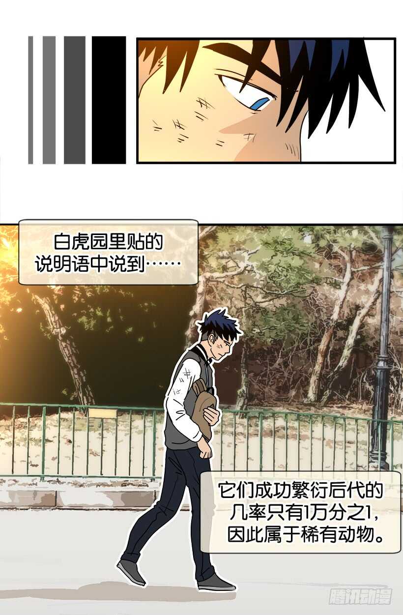 随波逐流10