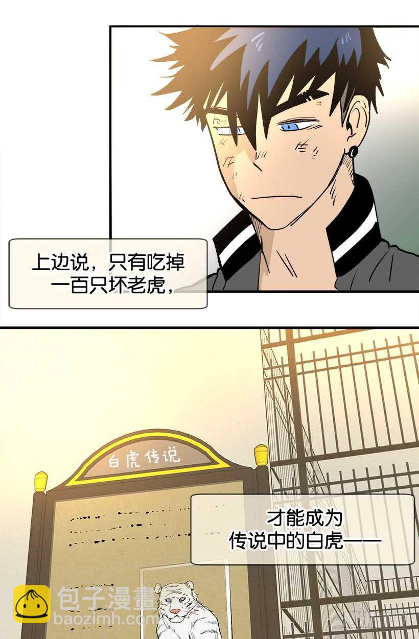 随波逐流11