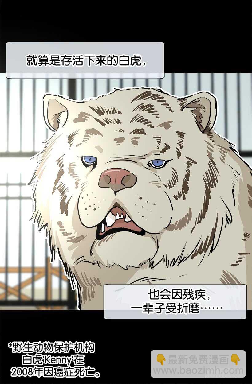 随波逐流3