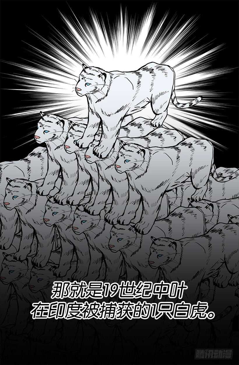 随波逐流5
