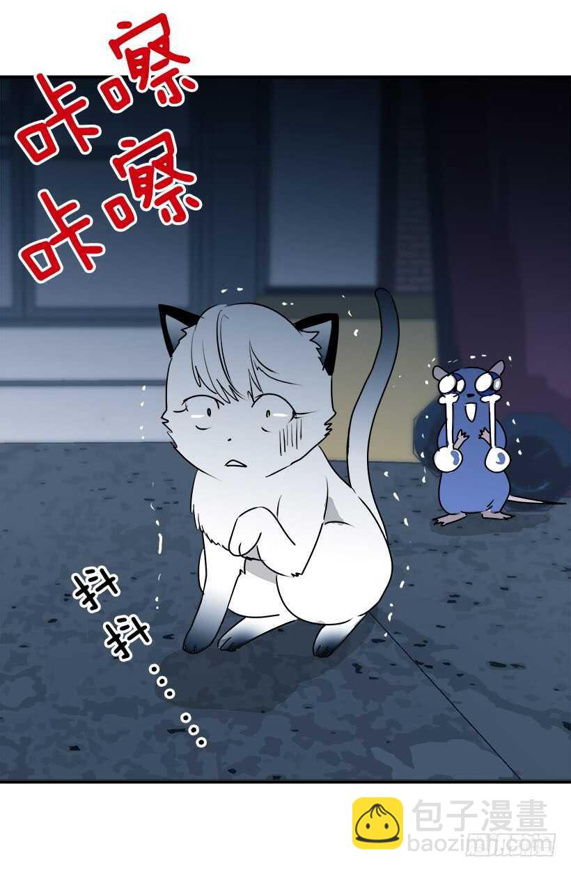 第一季完结篇6