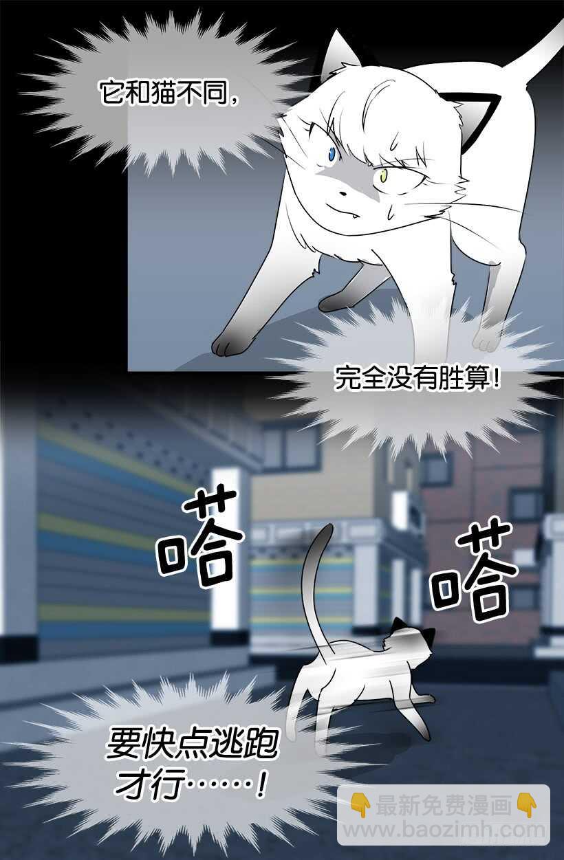 第一季完结篇9