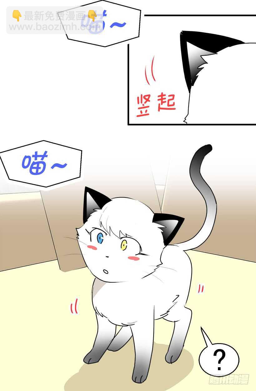 有种距离感11