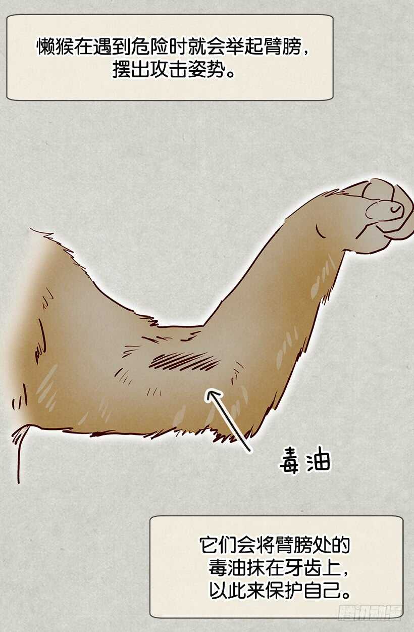 我有信心17