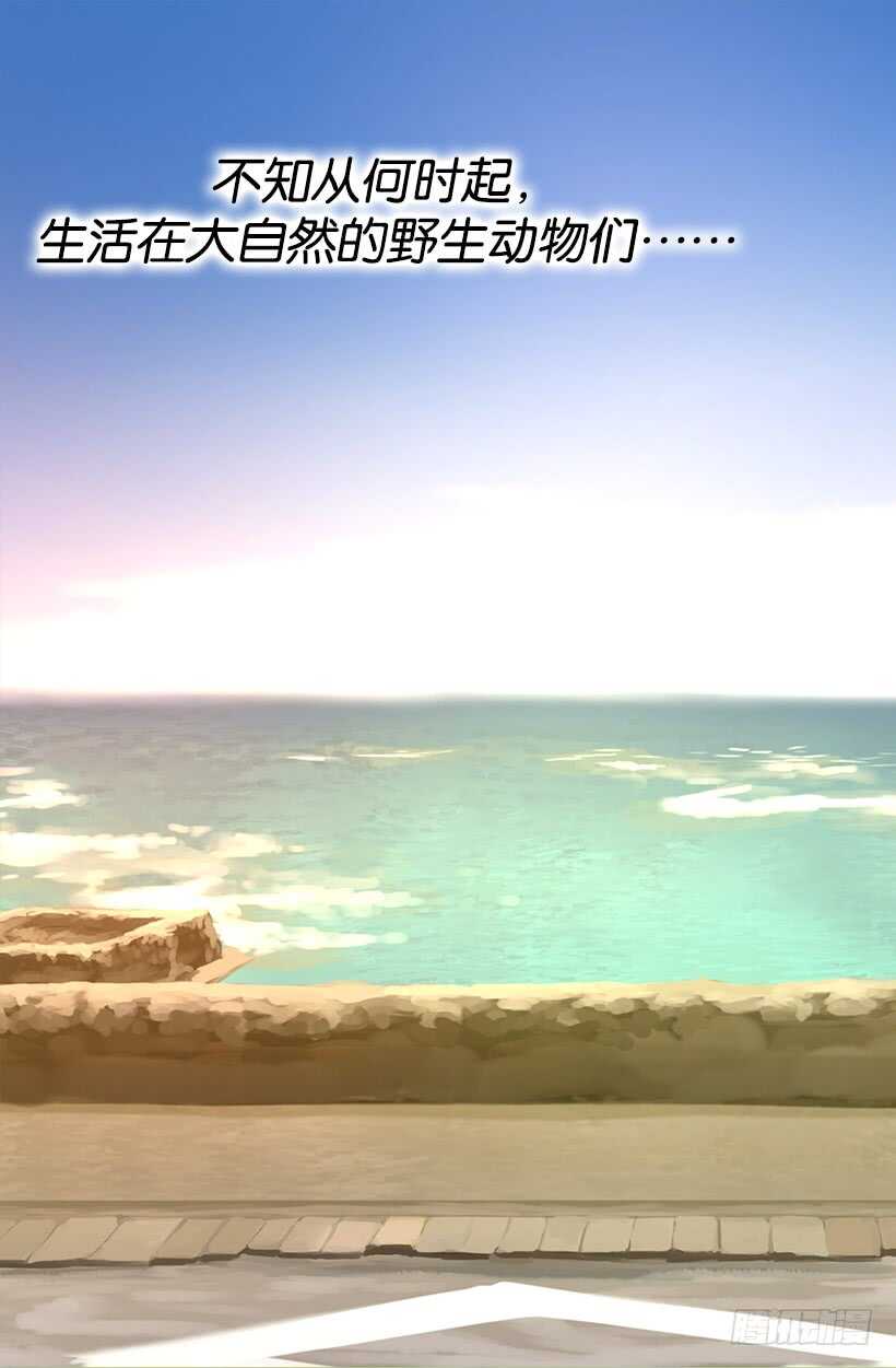 我有信心19