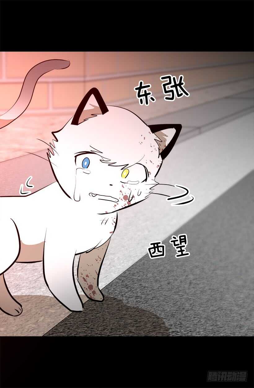 我有话要说6
