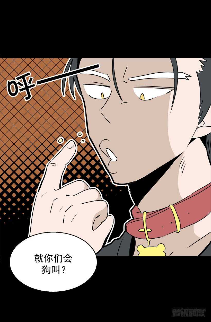 意外发现秘密11