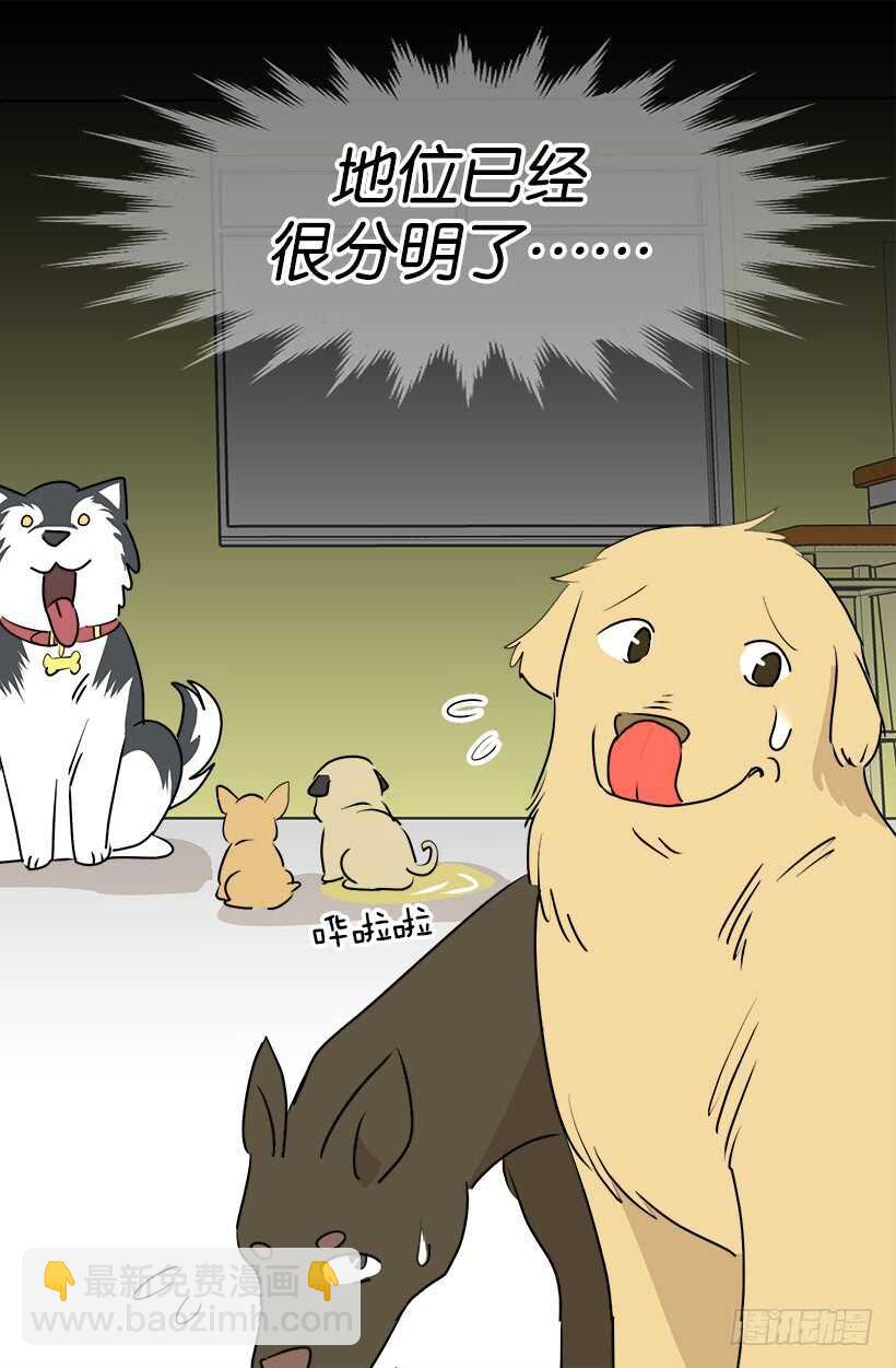 意外发现秘密17