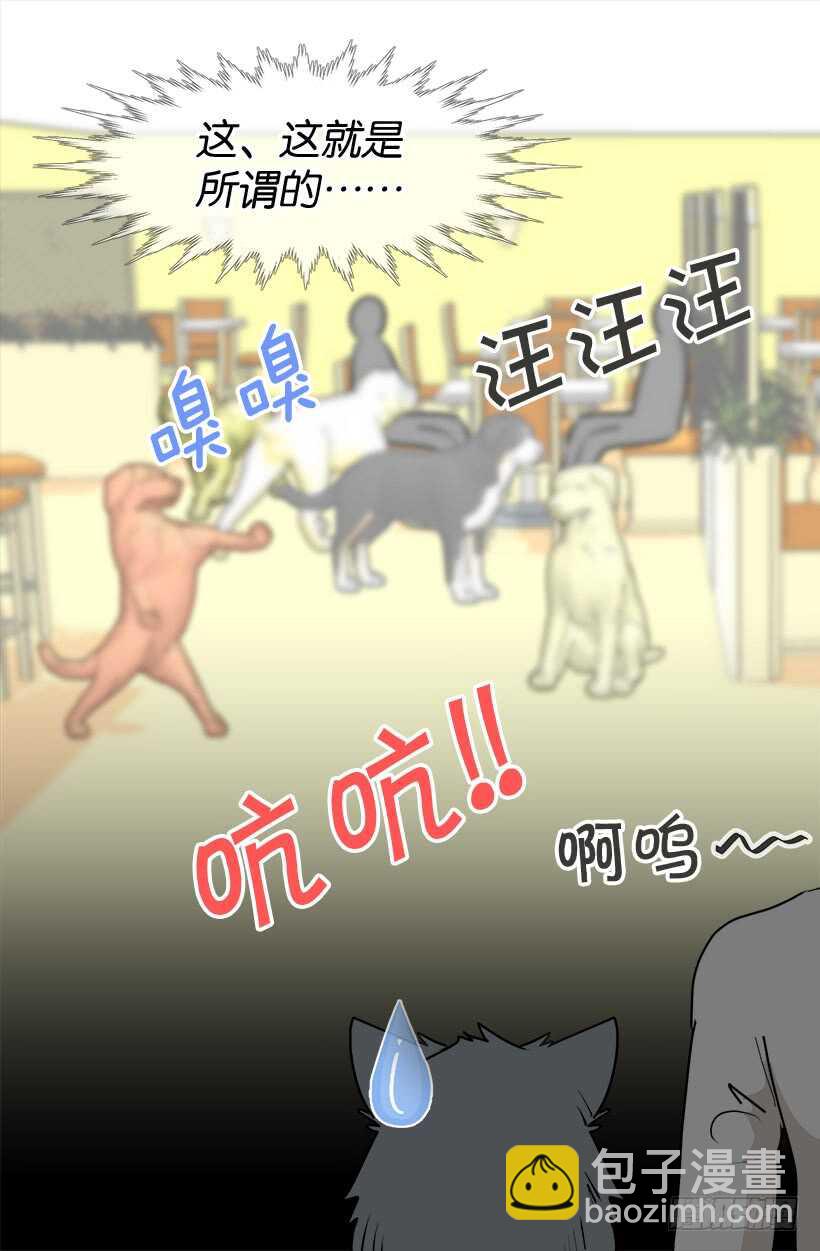 意外发现秘密3