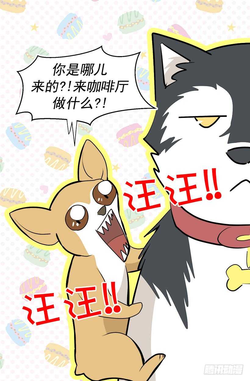 意外发现秘密8