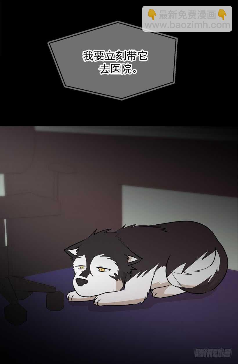 忌日15