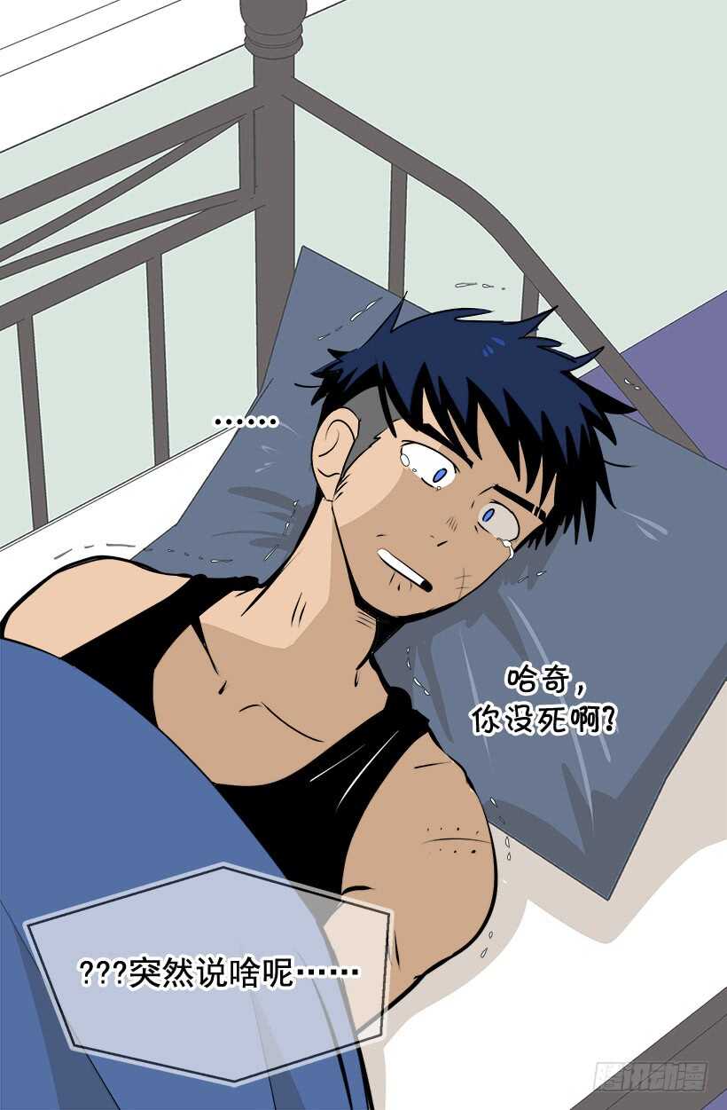 正式骑士8