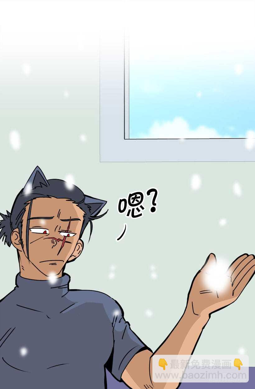 退婚事宜9